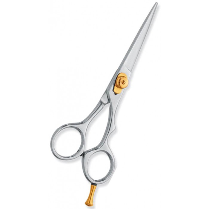 Professional hair Cutting Scissors